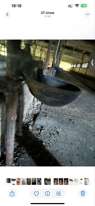 Продаються чугуні поїлки DELAVAL