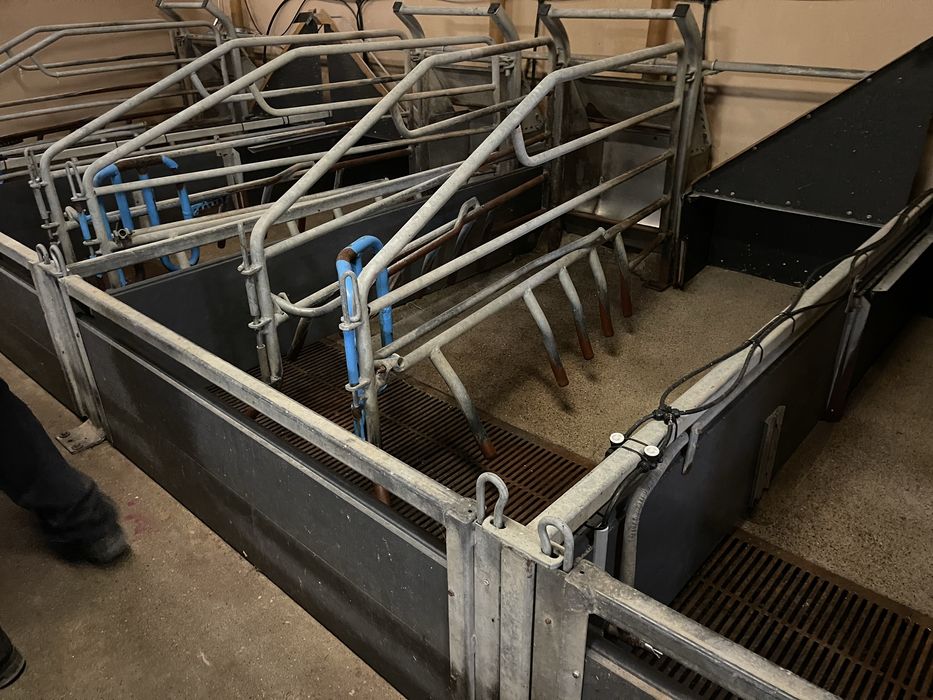 Kojce porodowe - NOWA DOSTAWA - 150 sztuk