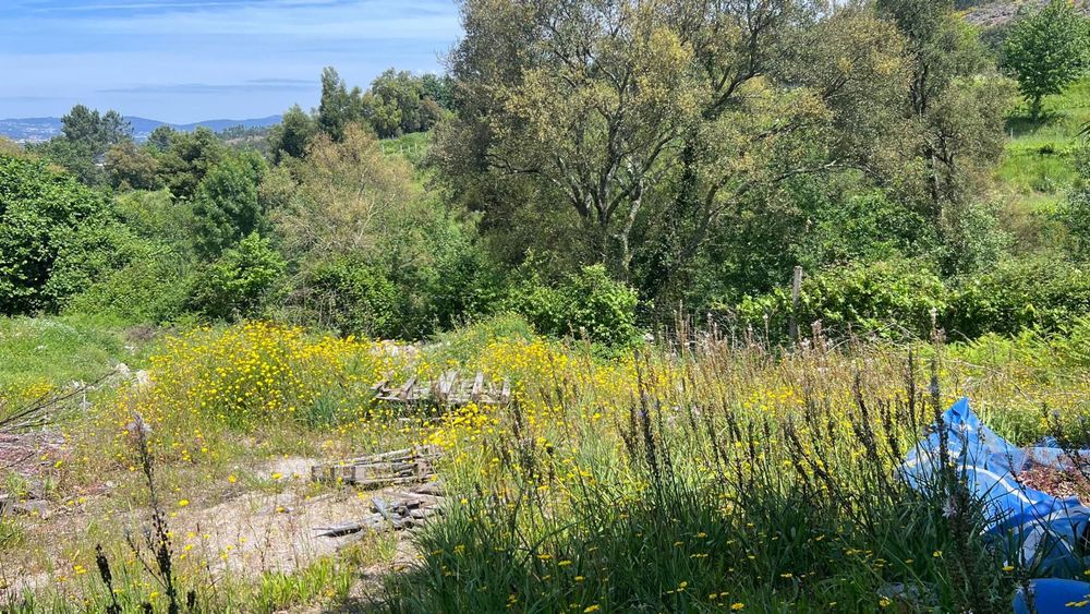 TERRENO 3.000 m² em Negrelos – aceito AUTOCARAVANA / MOTORHOME em troca