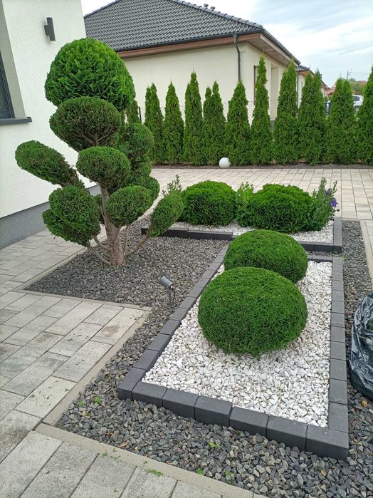 Ogrodnik#Usługi ogrodnicze#Zakładanie ogrodów.