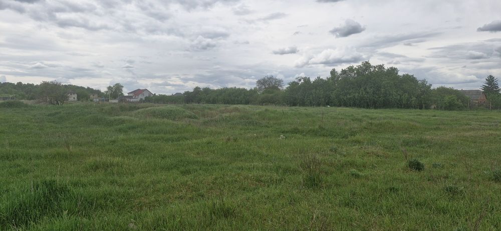 Продам земельну ділянку в Бучанському районі, с.Вороньківка (с. Синяк)