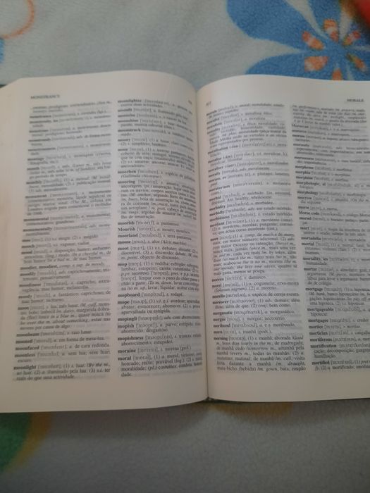 Dicionário inglês português