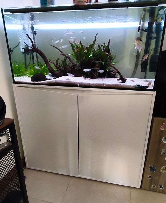 Aquário Aquatlantis