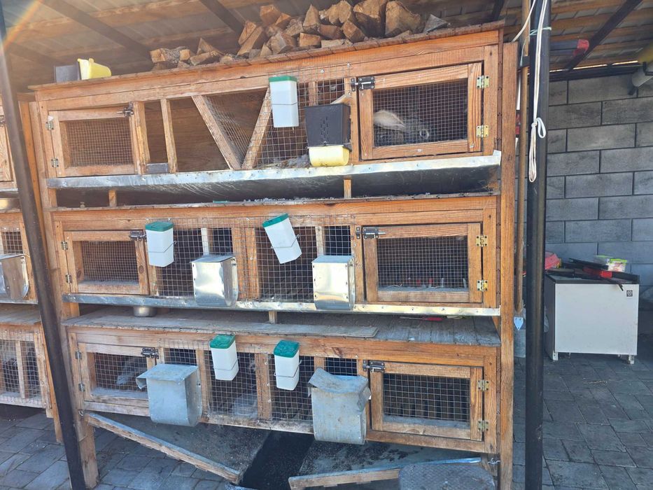 Клітки для кролів