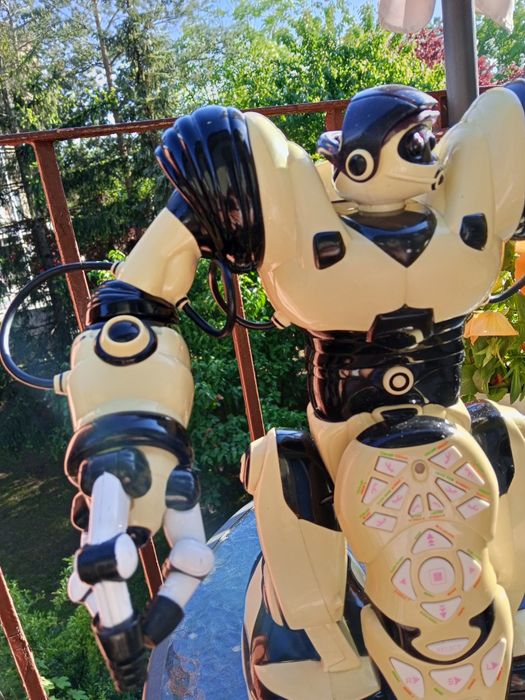 Robot interaktywny