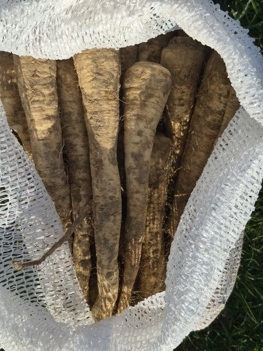 Pietruszka 10kg wysyłka inpost paczkomat