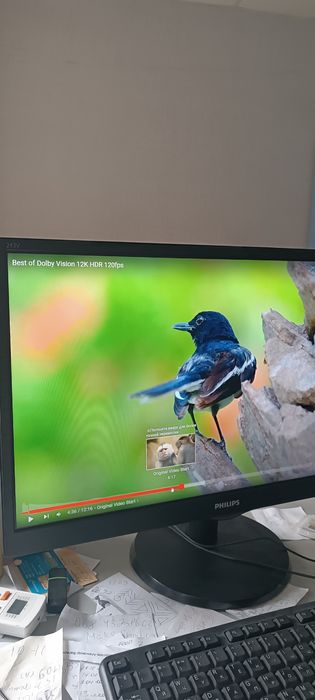 Монитор 22"  Phillips 223 V5LSB