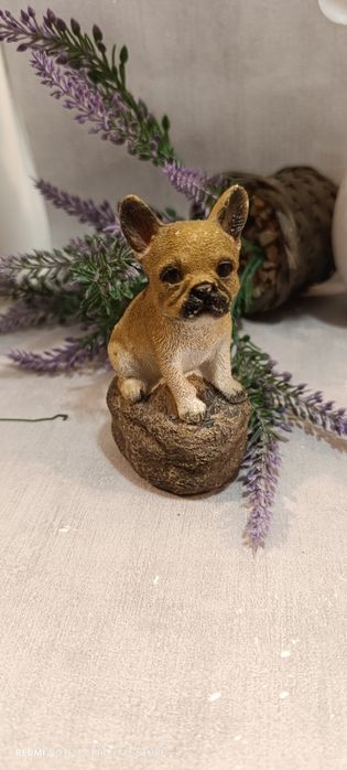 Figurka buldog francuski