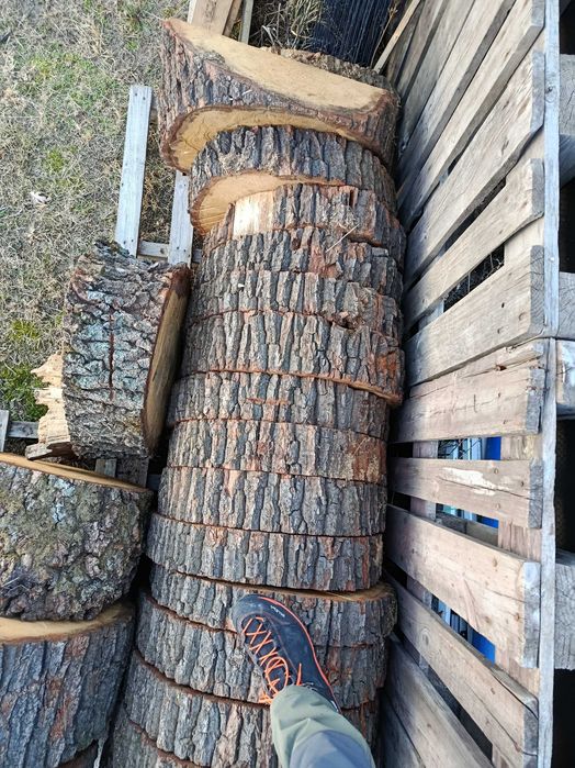 Blat dąb stolik plaster dębu