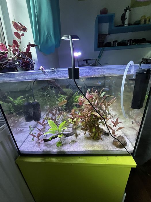 Akwarium 120 l + ryby