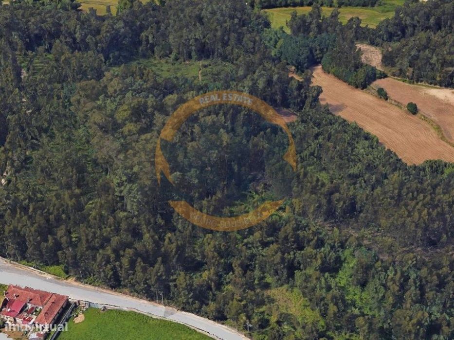 Terreno Santa Maria da Feira