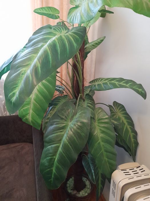 Sztuczne kwiaty ozdobne Rezerwacja