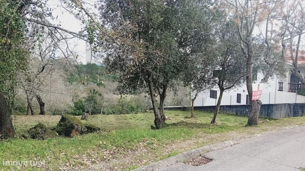 Terreno Urbano na Encosta do Sol – Vila de Soure