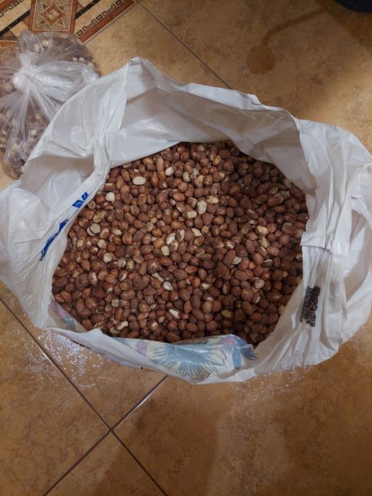 фундук , ядро, чищений