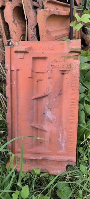 Череп польський, новий