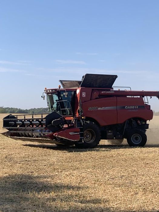 Послуги комбайна Case , оренда комбайна , Обмолот ,збирання врожаю