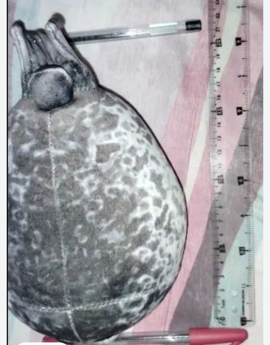 Іграшки подушки м'які дитячі