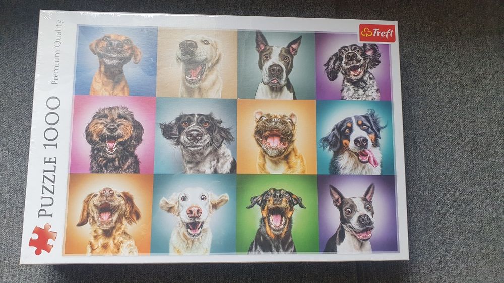 Nowe puzzle Zabawne psie portrety 1000 elementów