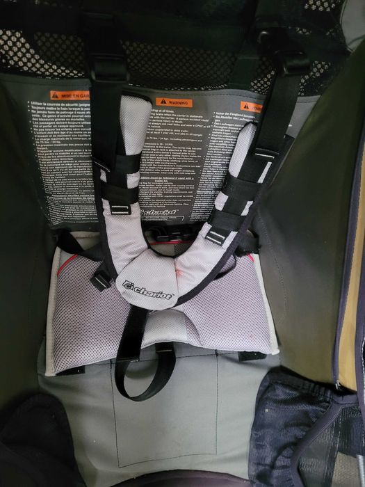 przyczepka chariot cougar dla jednego dziecka