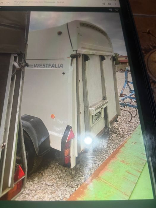 Przyczepa do przewozu koni