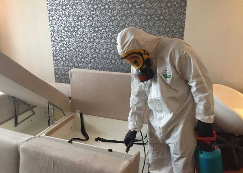 Борьба с крысами и мышами: дератизация, защита от повторного появления