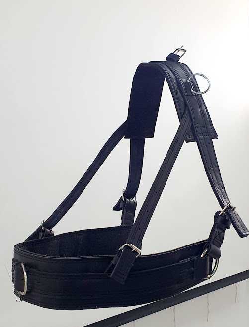 Упряж Виготовлення упряжі , посторонки вожжи віжки ліци шлея шорка .