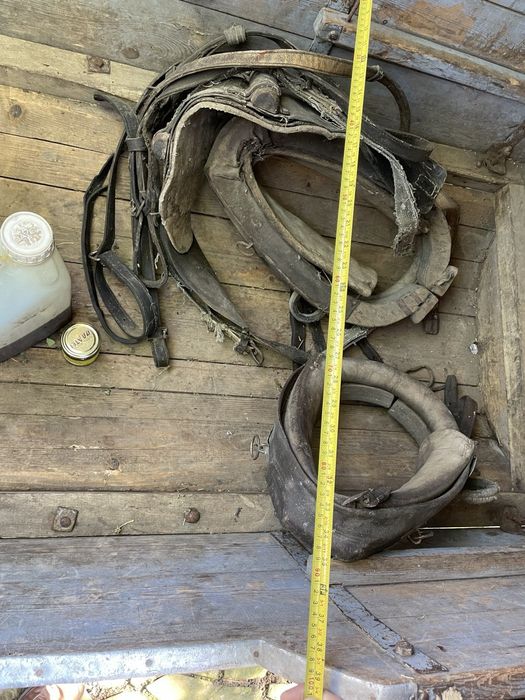 Бричка для Коня на ресорах