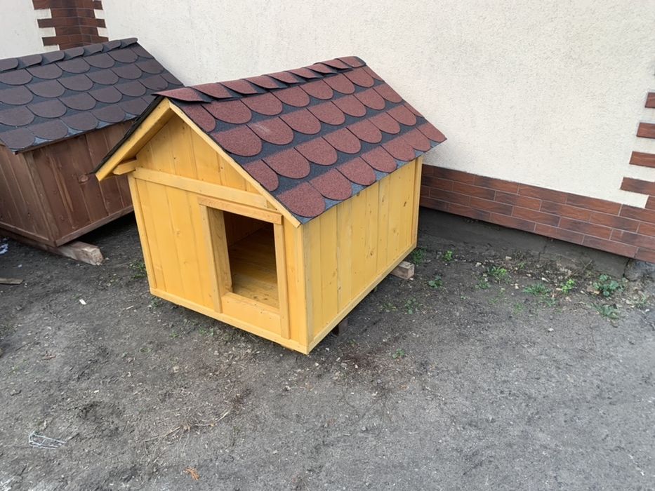 Średnia buda dla psa