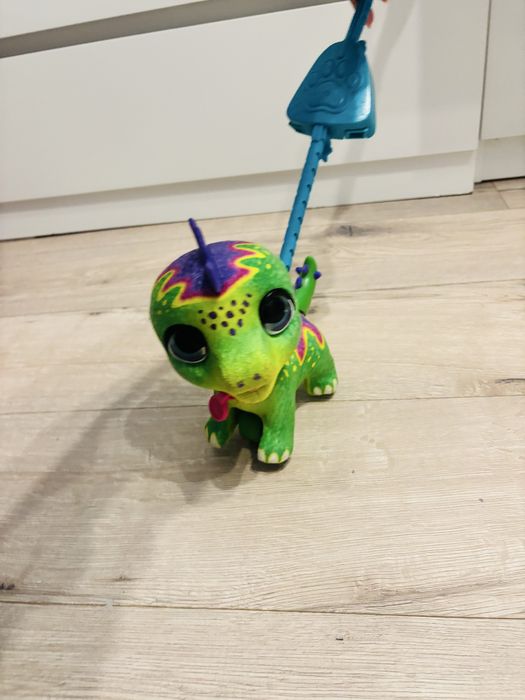 Weterynarz wooden sortowania battat itp