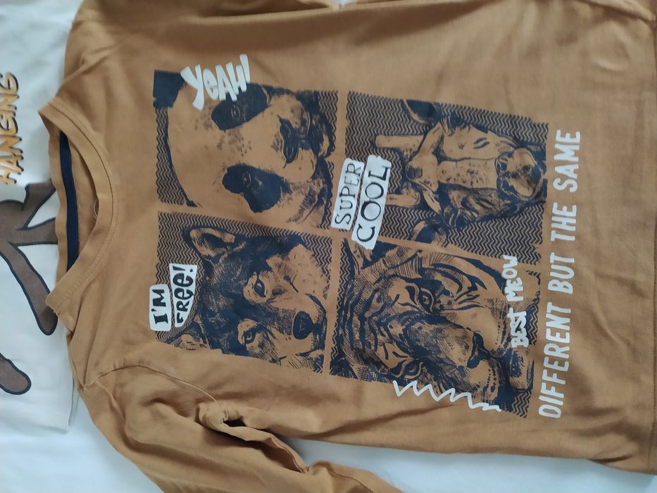 Dwie bluzki z długim rękawem Pepco 128