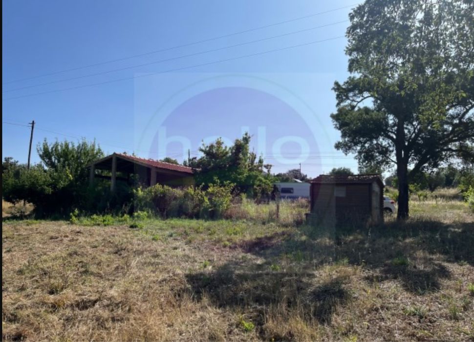 Terreno com vinha e pequeno imovel