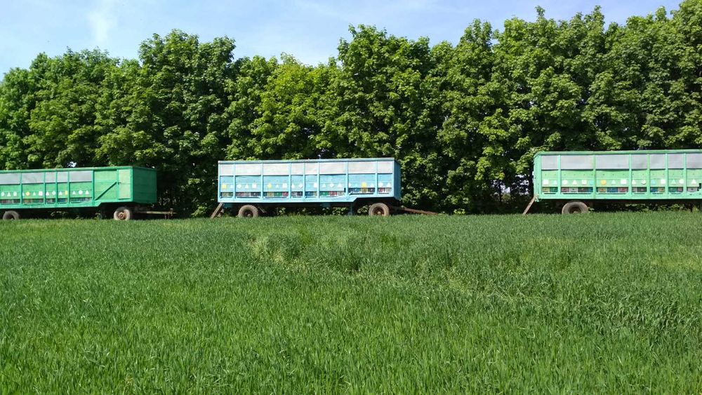 Бджолопавільйони,причіпи для бджіл.