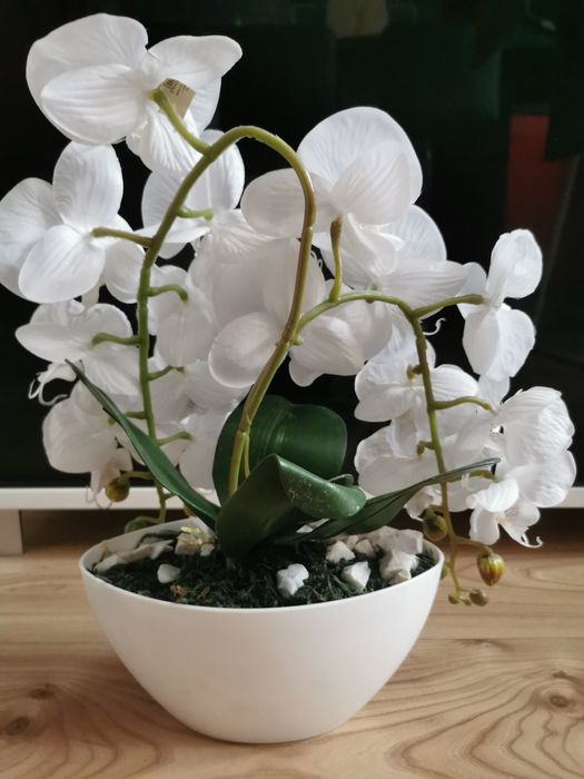 Sztuczny storczyk w doniczce