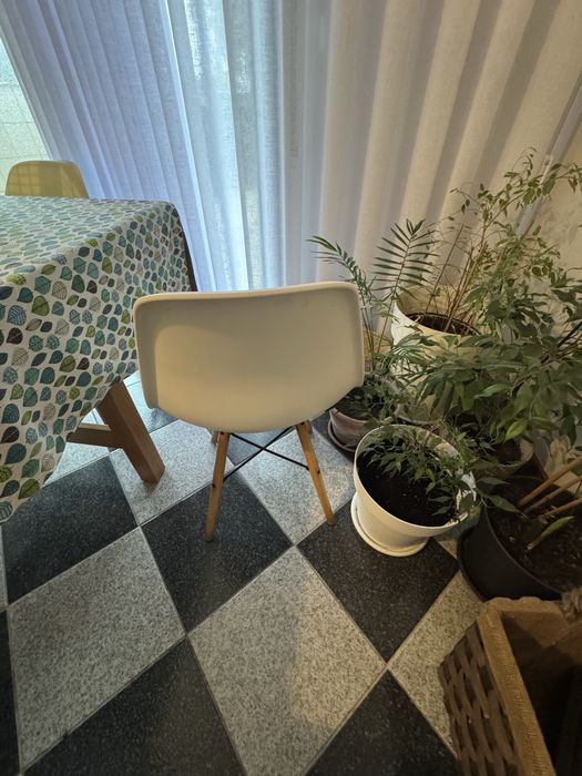 Pack 6 Cadeiras brancas