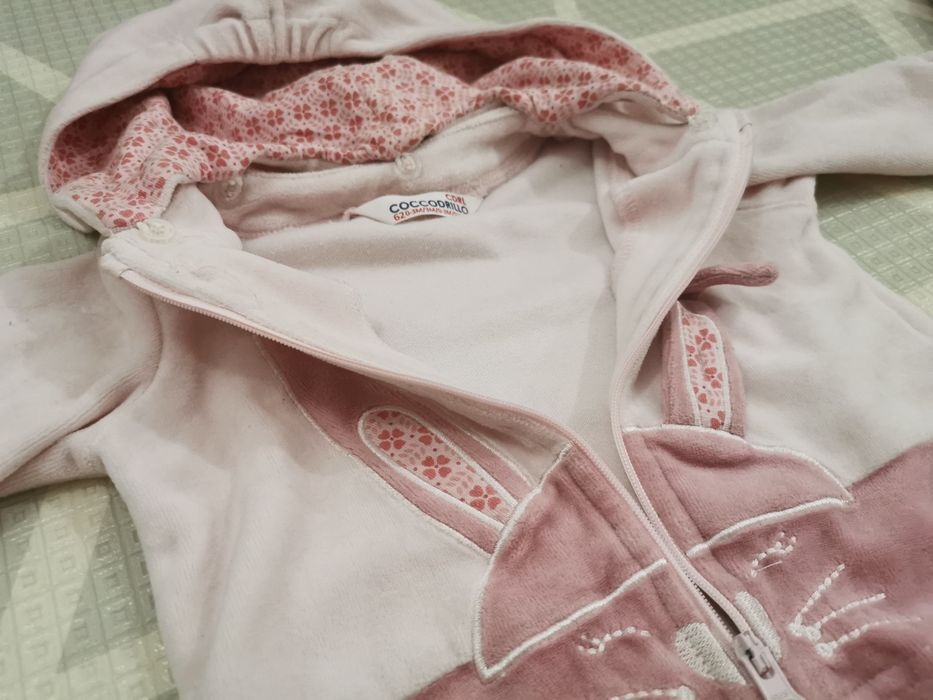 Bluza plus spodenki cocodrillo 62 królik