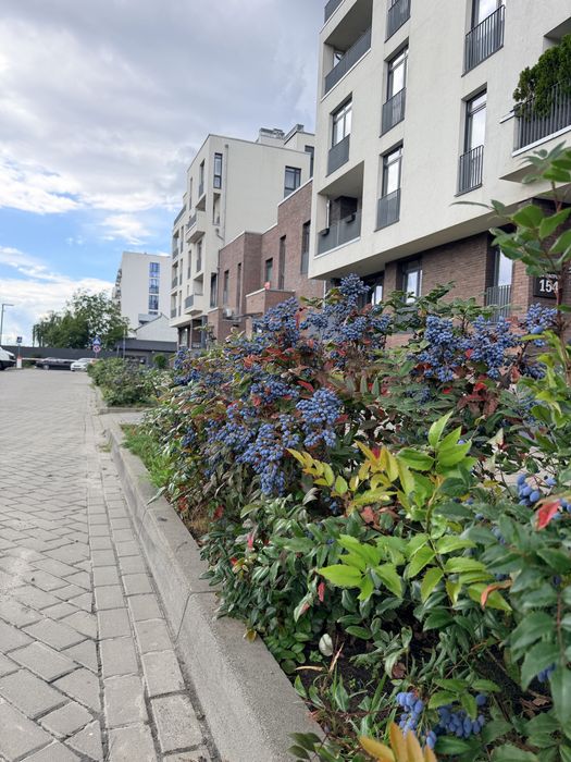 2к квартира + кухня 34 кв. Жк Villa Magnolia Spring вул. Пасічна
