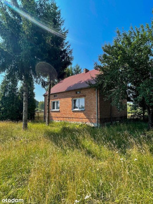 Dom z dużą działką 54 ar | Tarnowska Wola