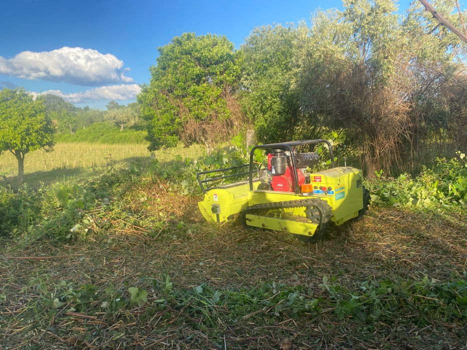 Limpeza de terrenos