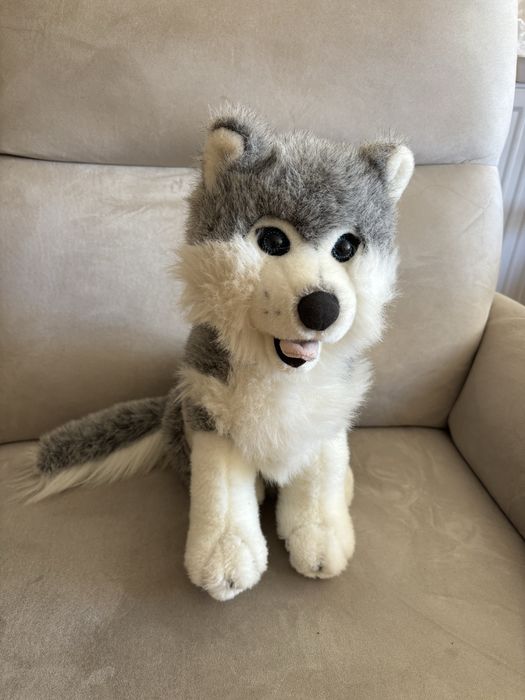 Maskotka piesek husky wys 38 cm