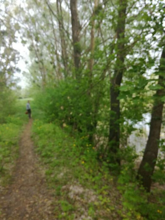 Продам участок біля Дніпра