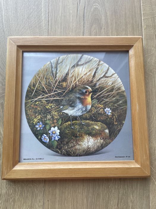 Obrazek z ptaszkiem ramka drewniana
