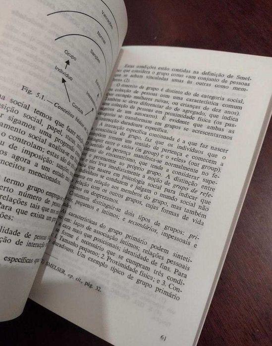 Introdução à Sociologia - António Lucas Marín