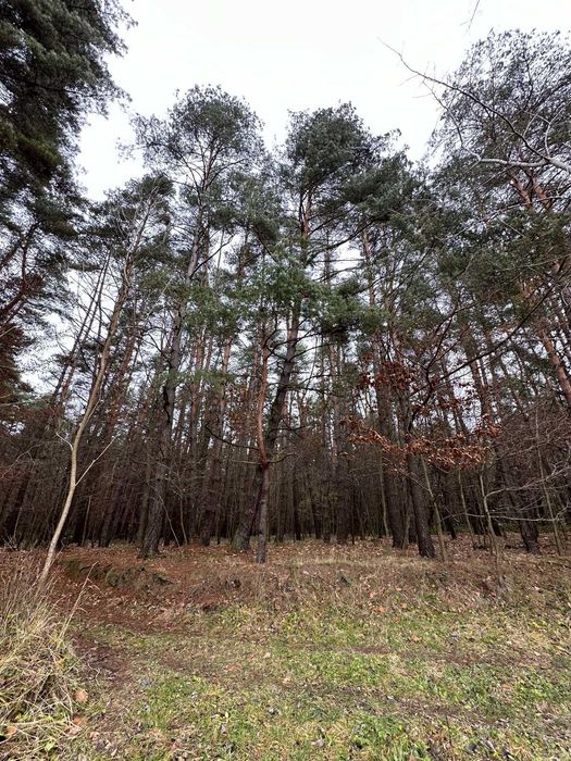 Продаж земельної ділянки в смт.Брюховичі (33 сот.) БЕЗ КОМІСІЇ