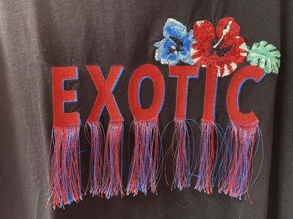 Stradivarius | T Shirt bordado com franjas (M)