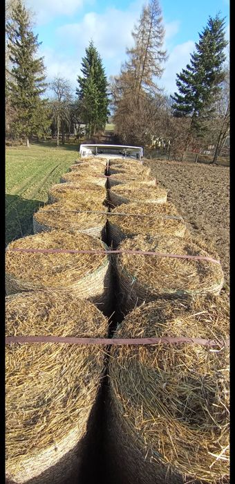 Słoma baloty duże ilości ilości TIR 130cm pod dachem nie fliz