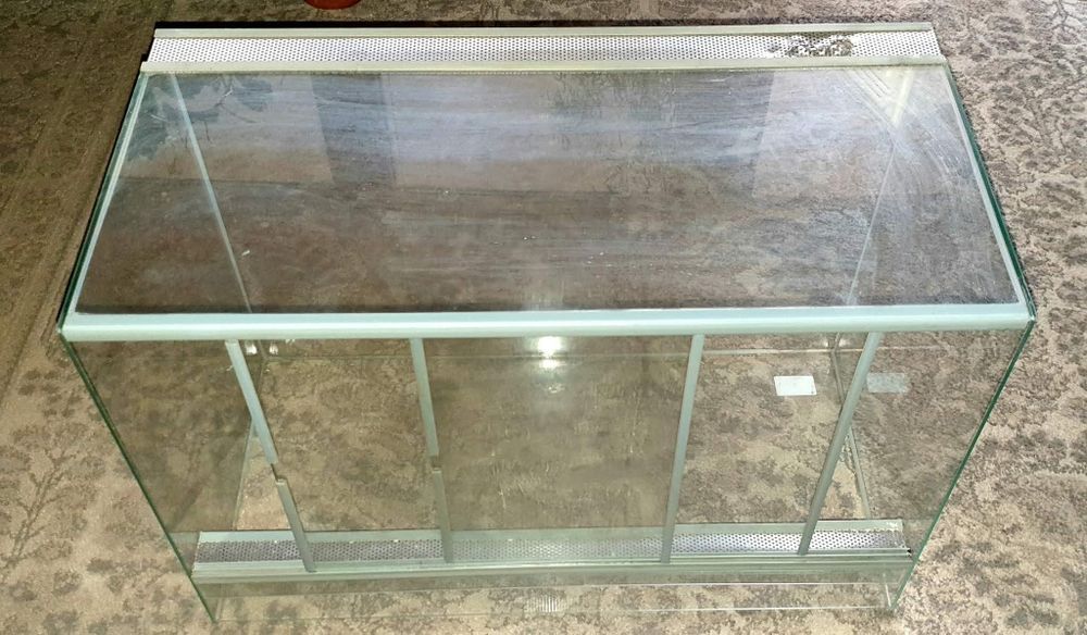 Terrarium dla pająka lub gada
