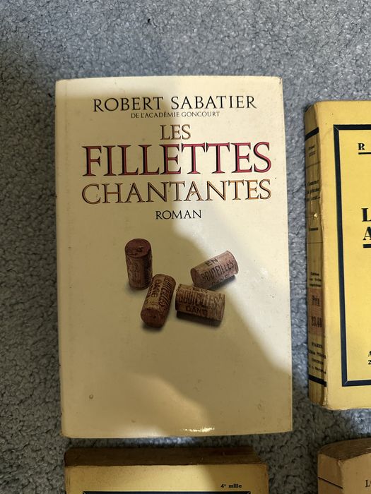 Lote de 14 livros Franceses