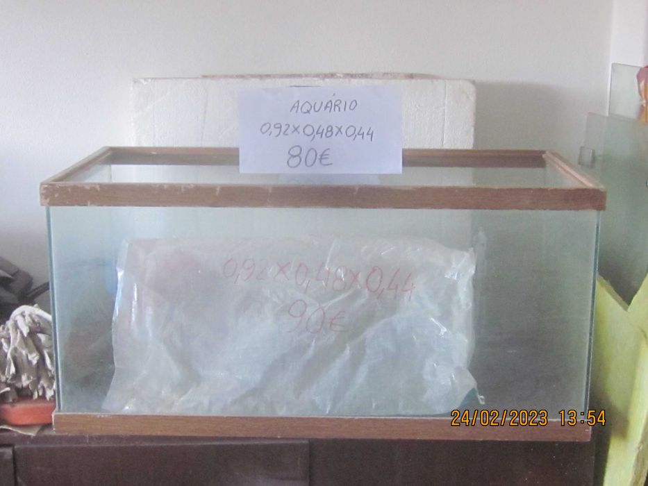 aquario grande leva muitos peixes