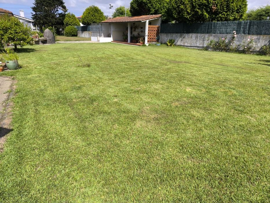 Serviços de jardinagem