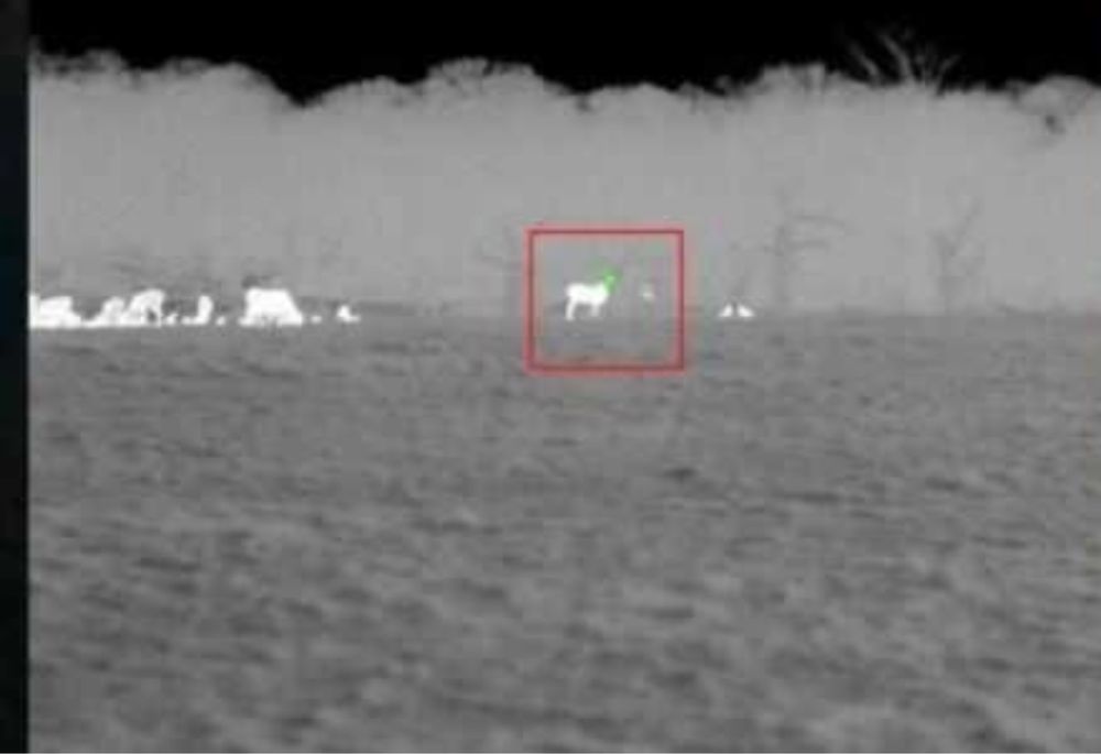 Hik vision - Kamera termowizyjna z 4x zoom